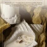 Conch candle